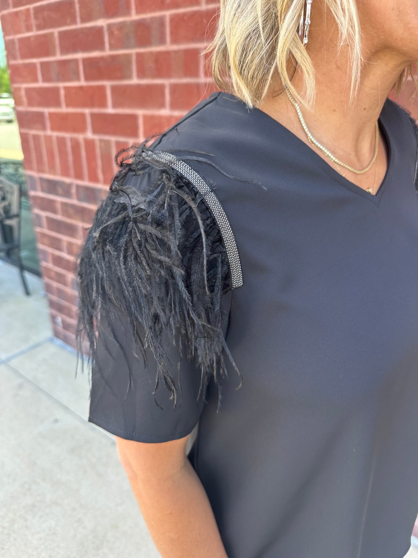 Feather Short Sleeve Top