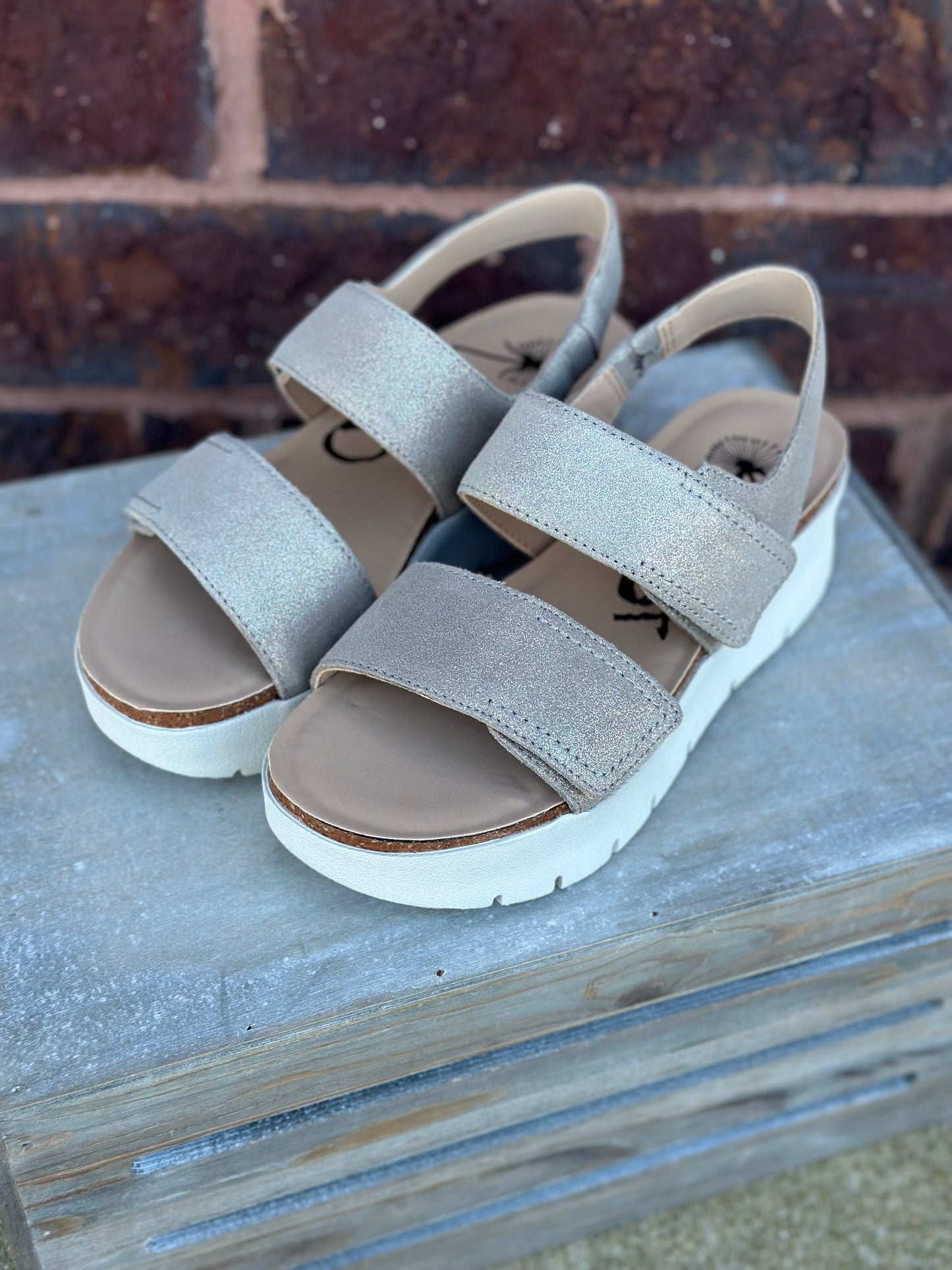 MONTANE Metallic walking wedges