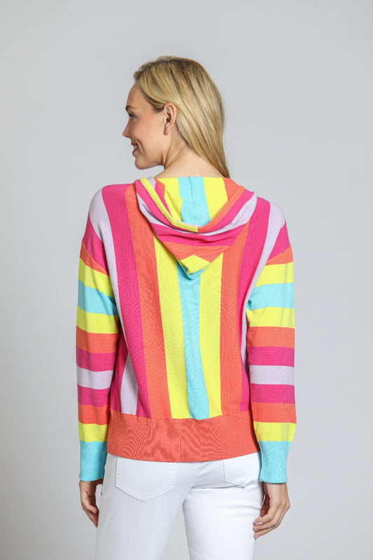Multi Color Stripe Hoodie